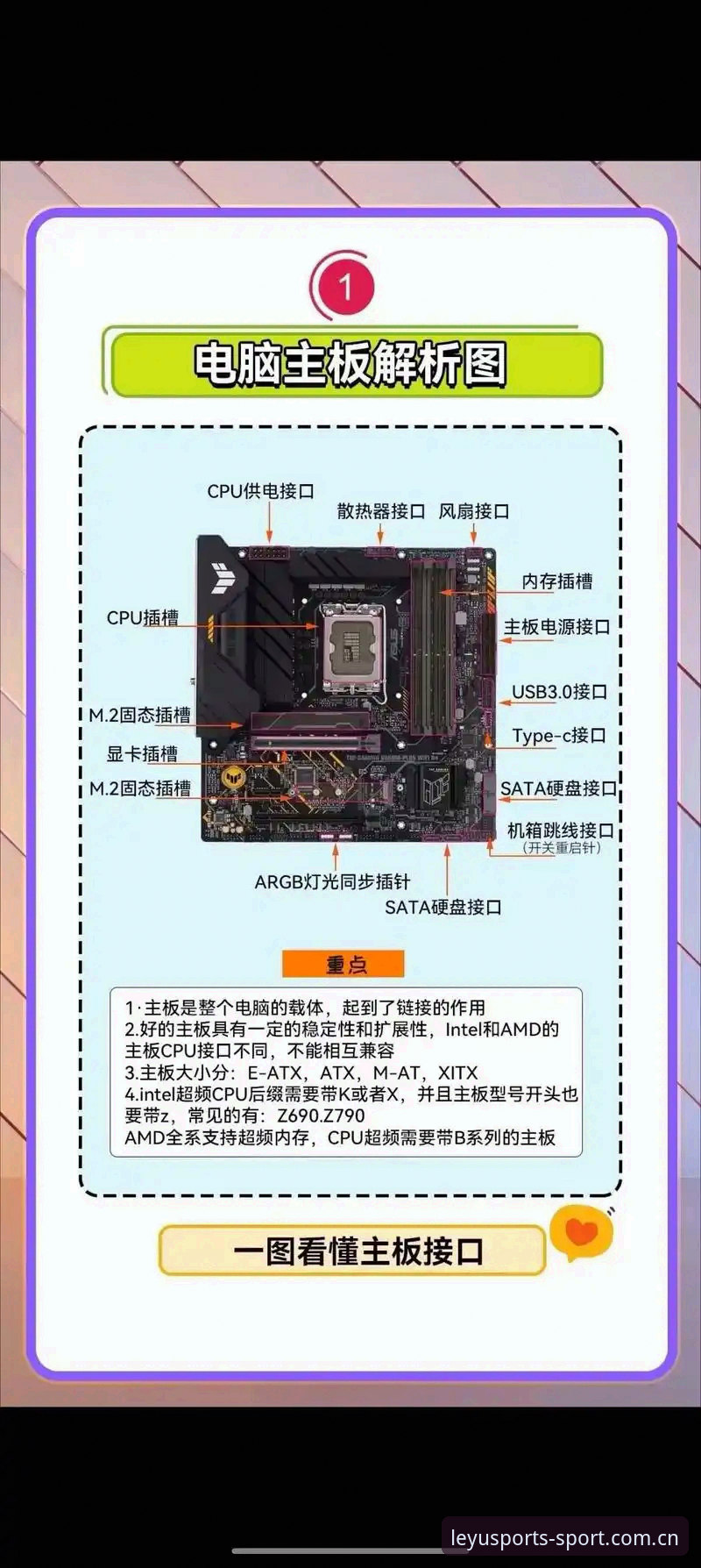 乐鱼体育v2.0.8深度拆解：对比同类平台替代推荐安装教程全解析